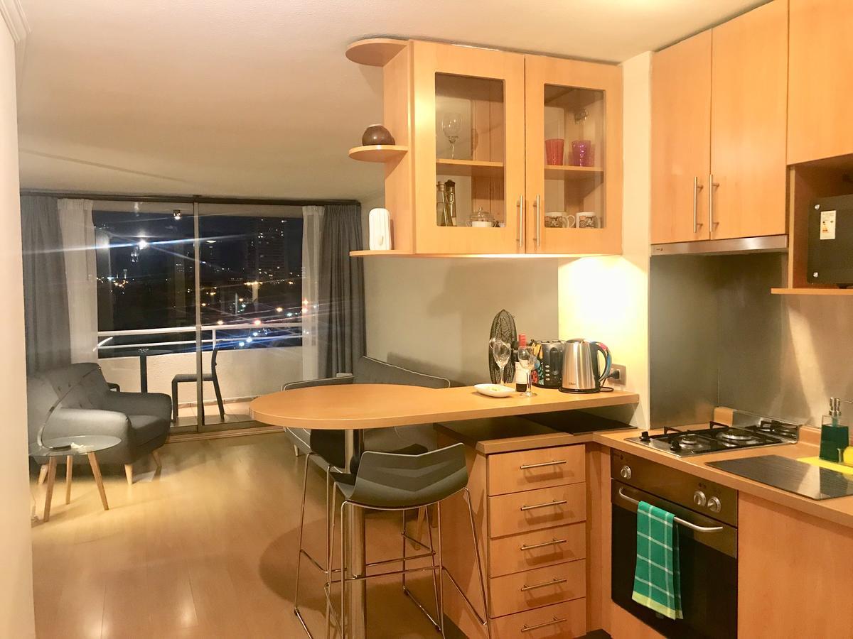 Apartamento Providencia Plaza Santiago de Chile Exterior foto